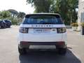 Land Rover Discovery Sport Discovery Sport 2.0 td4 SE awd 150cv auto Bianco - thumbnail 6