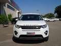 Land Rover Discovery Sport Discovery Sport 2.0 td4 SE awd 150cv auto Bianco - thumbnail 2