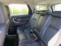 Land Rover Discovery Sport Discovery Sport 2.0 td4 SE awd 150cv auto Bianco - thumbnail 12