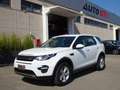 Land Rover Discovery Sport Discovery Sport 2.0 td4 SE awd 150cv auto Bianco - thumbnail 1