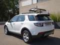Land Rover Discovery Sport Discovery Sport 2.0 td4 SE awd 150cv auto Bianco - thumbnail 5