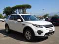 Land Rover Discovery Sport Discovery Sport 2.0 td4 SE awd 150cv auto Bianco - thumbnail 3
