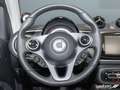 smart forTwo ForTwo Cabriolet EQ Passion LED/22 kW/DAB/Kamera Bleu - thumbnail 15