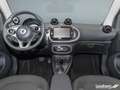 smart forTwo ForTwo Cabriolet EQ Passion LED/22 kW/DAB/Kamera Bleu - thumbnail 14