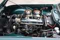 Triumph TR4 A IRS Grün - thumbnail 47