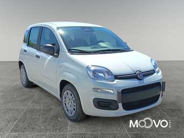 Pandina III 2024 Pandina 1.0 firefly hybrid Icon s