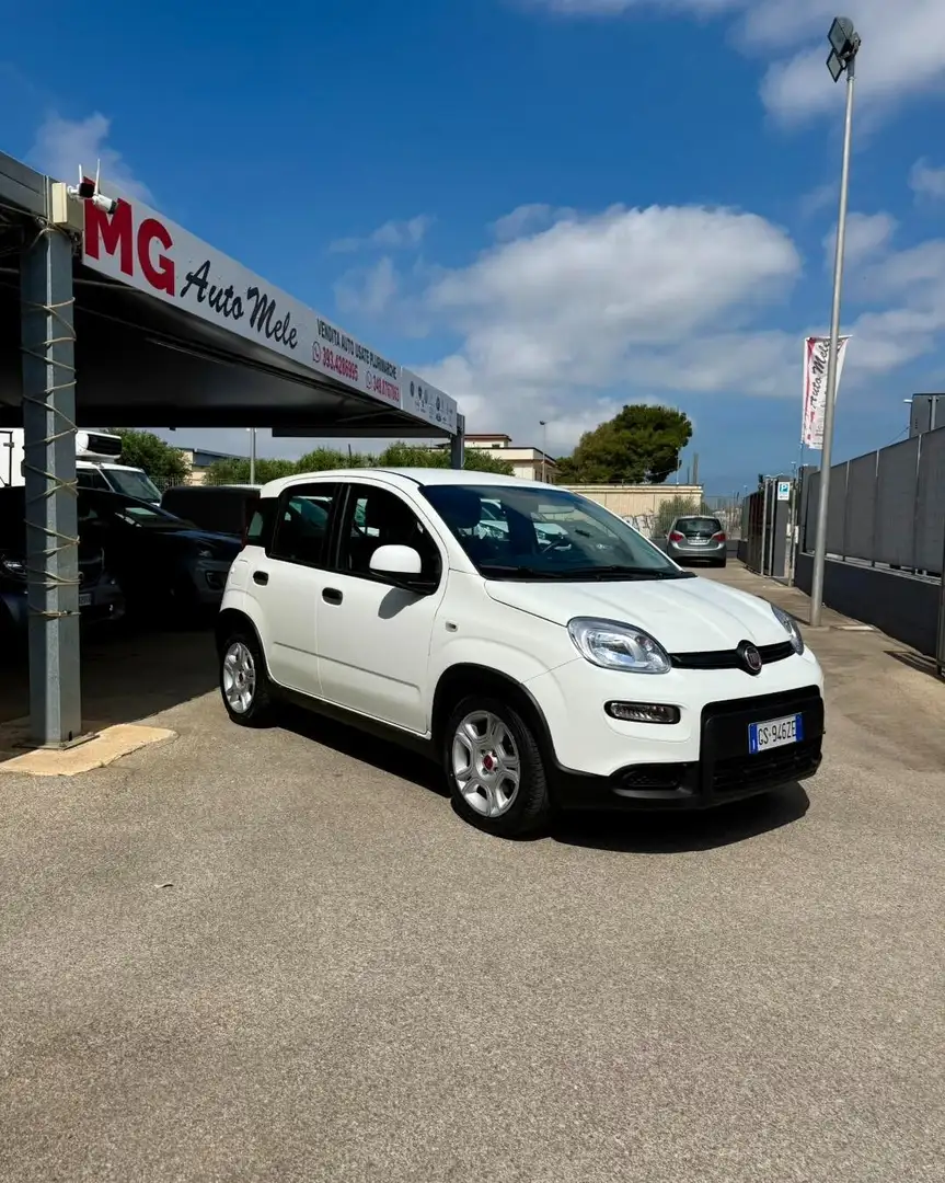 Fiat Panda Panda 1.0 FireFly S&S Hybrid Bianco - 2