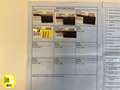Land Rover Range Rover Evoque 2.2L TD4 Dynamic 4x4 Aut. Albastru - thumbnail 13