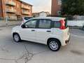 Fiat Panda 1.2 Lounge 69cv NEOPATENTATI Beige - thumbnail 5