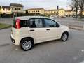 Fiat Panda 1.2 Lounge 69cv NEOPATENTATI Beige - thumbnail 4