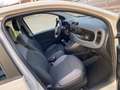 Fiat Panda 1.2 Lounge 69cv NEOPATENTATI Beige - thumbnail 11