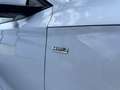Skoda Octavia Combi 2,0 TDI Ambition DSG *AHK / LED / ACC / L... Weiß - thumbnail 14