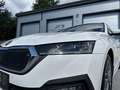 Skoda Octavia Combi 2,0 TDI Ambition DSG *AHK / LED / ACC / L... Weiß - thumbnail 12