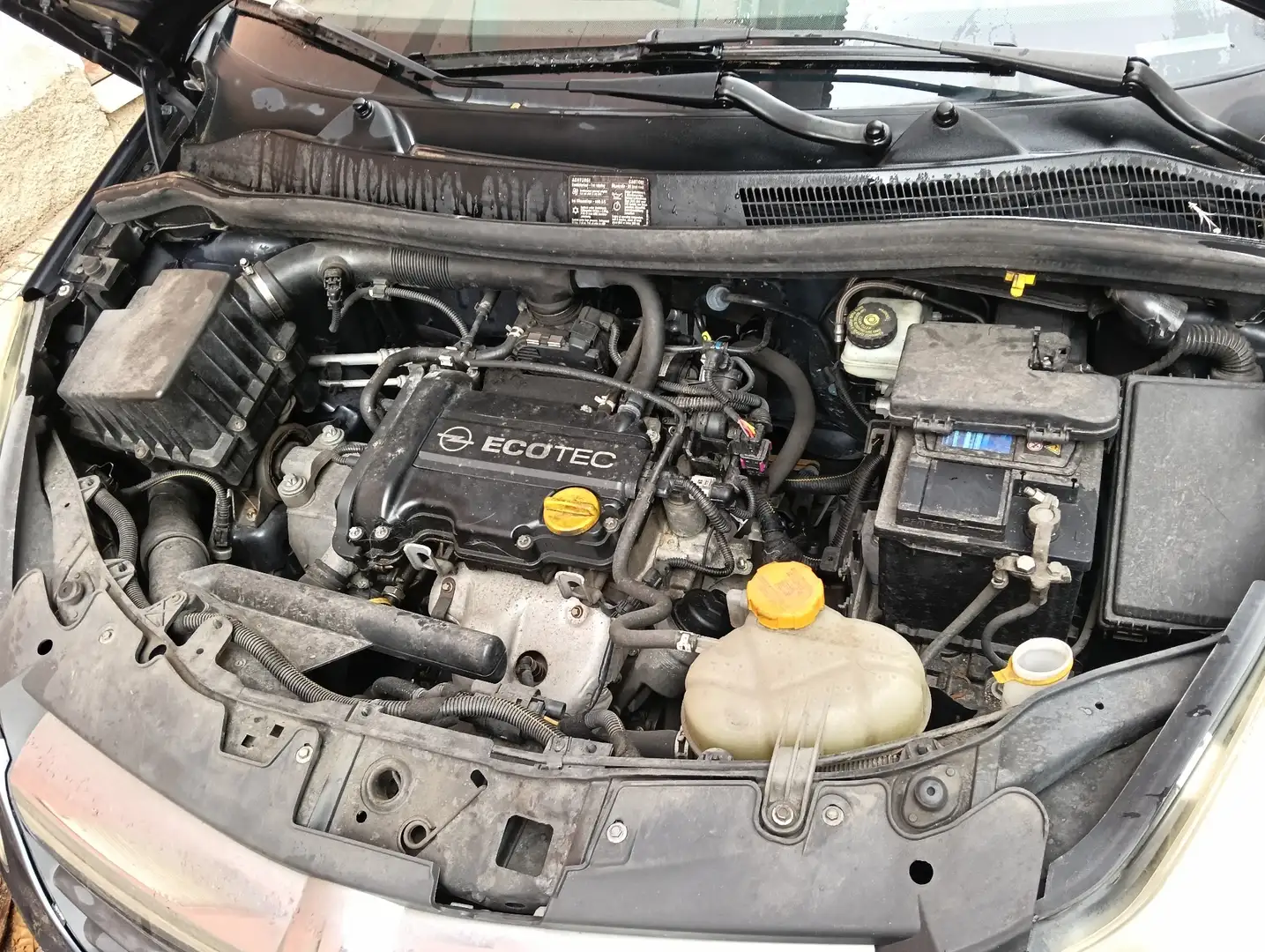 Opel Corsa 5p 1.0 Club - 1