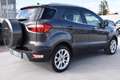 Ford EcoSport 1.5 Ecoblue 95 CV Start&Stop Titanium Grigio - thumbnail 4