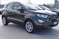 Ford EcoSport 1.5 Ecoblue 95 CV Start&Stop Titanium Grigio - thumbnail 3