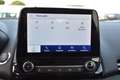 Ford EcoSport 1.5 Ecoblue 95 CV Start&Stop Titanium Grigio - thumbnail 13