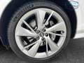 Genesis GV70 2.5 T Luxury AWD Electronic Limited Slip Differ... Белый - thumbnail 8