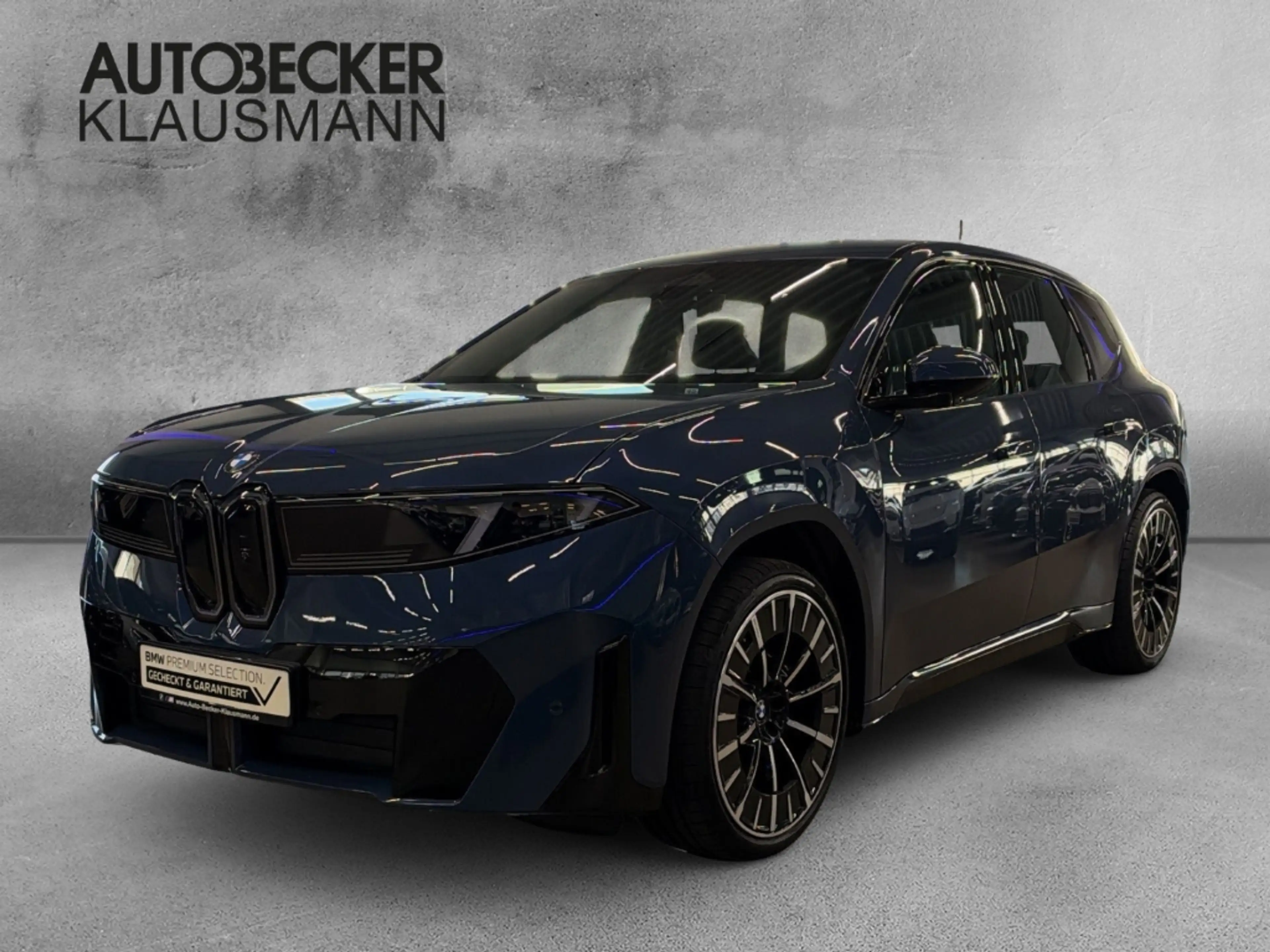 BMW iX3 xDrive 50 Park-Assistent