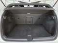 Volkswagen Golf 8 1.5 eTSI DSG R-Line Weiß - thumbnail 12