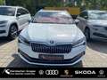 Skoda Superb Combi 2.0 TDI Premium Edit. beheizb. WSS Bianco - thumbnail 1
