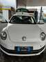 Volkswagen Maggiolino 1.6 Tdi 105cv Bianco - thumbnail 1