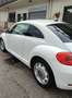 Volkswagen Maggiolino 1.6 Tdi 105cv Bianco - thumbnail 4