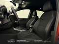 Ford Kuga 2.5 Plug In Hybrid 225 CV CVT 2WD ST-Line X 20'' Orange - thumbnail 8