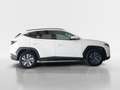 Hyundai TUCSON TODOTERRENO 1.6 TGDI 110KW MAXX 150 5P Blanco - thumbnail 13
