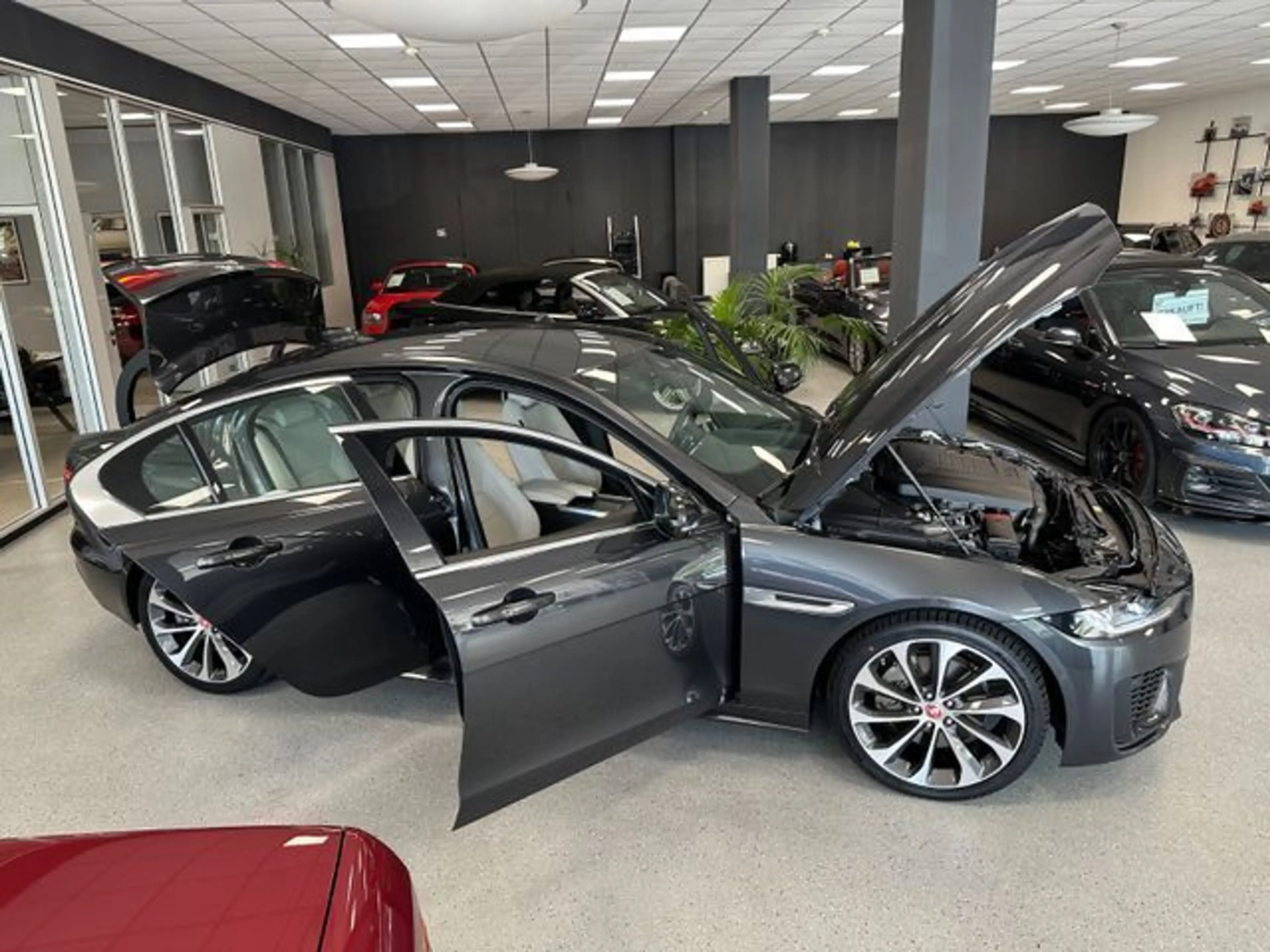 Jaguar XE R-Dynamic HSE|360°|Meridian|18-Wege|DAB+|19" — photo 3
