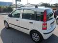 Fiat Panda Panda II 2003 1.2 easypower Dynamic Gpl 69cv Bianco - thumbnail 10