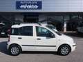 Fiat Panda Panda II 2003 1.2 easypower Dynamic Gpl 69cv Bianco - thumbnail 15
