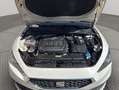 SEAT Leon SP 2.0 TDI 110kW DSG Style Blanco - thumbnail 22