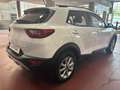 Kia Stonic 1.2 dpi BENZINA Urban 84cv - TAGLIANDATA! Bianco - thumbnail 3
