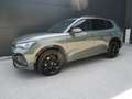 Volkswagen Tiguan R-Line TDI 4MOTION DSG Grün - thumbnail 5