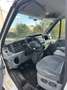Ford Transit Bus - thumbnail 9