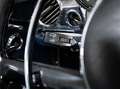 Mercedes-Benz SL 250 PAGODA W113 -ITALIANA-CAMBIO MANUALE A 5 MARCE Silber - thumbnail 12