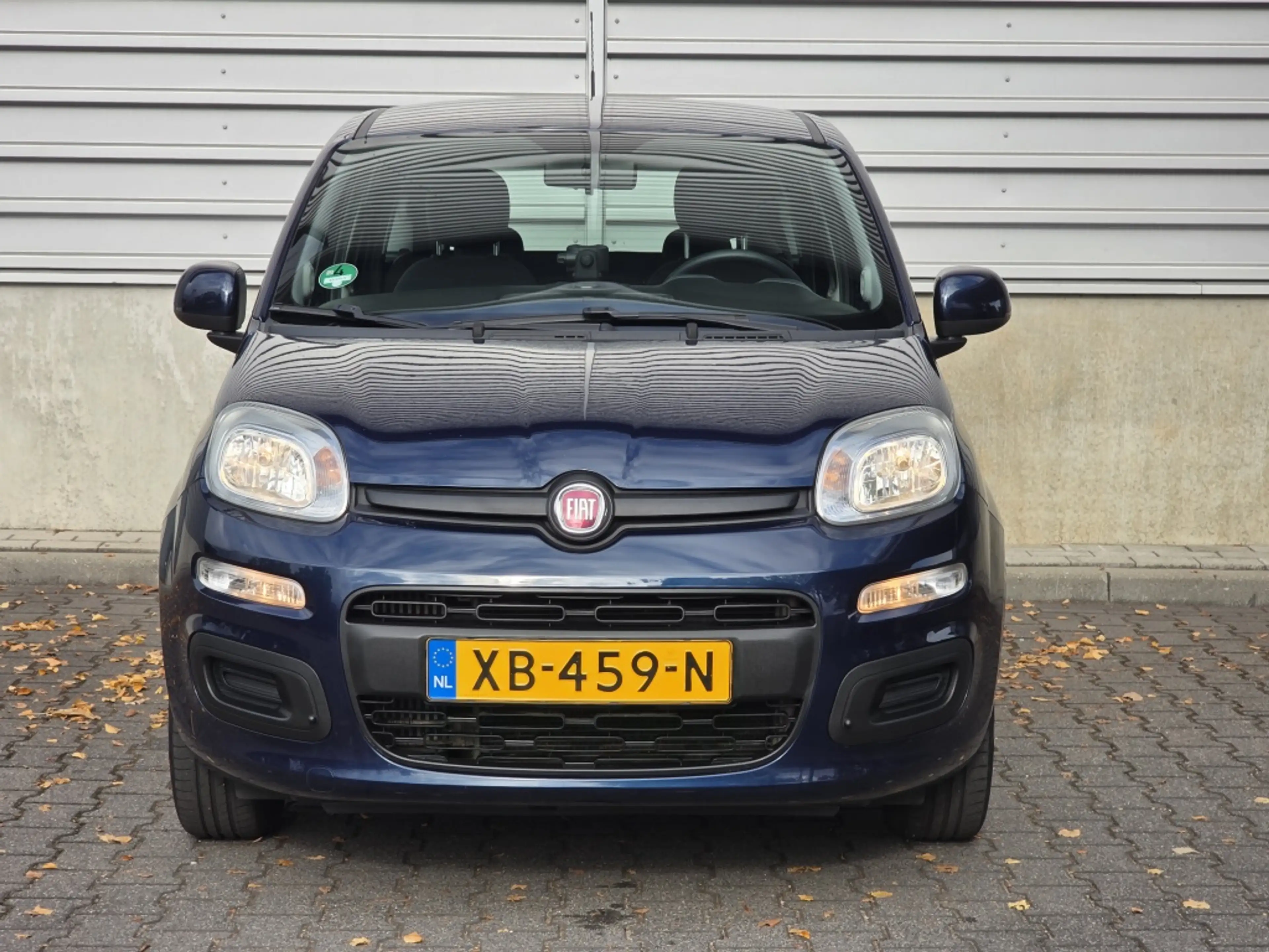 Fiat Panda 80PK | Popstar | Bluetooth + tel. | Hoogte verst. — photo 2
