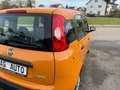 Fiat Panda Hybrid +Garantie Klima TÜV+Service NEU Orange - thumbnail 13