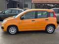 Fiat Panda Hybrid +Garantie Klima TÜV+Service NEU Orange - thumbnail 4