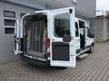 Ford Transit 350 L3/9 Sitze/5 Rollstuhlpl./Smartfloor/Garantie* Blanc - thumbnail 4