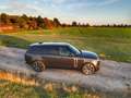Land Rover Range Rover Range Rover D350 LWB 5-Sitzer HSE LP168260€ Grau - thumbnail 10