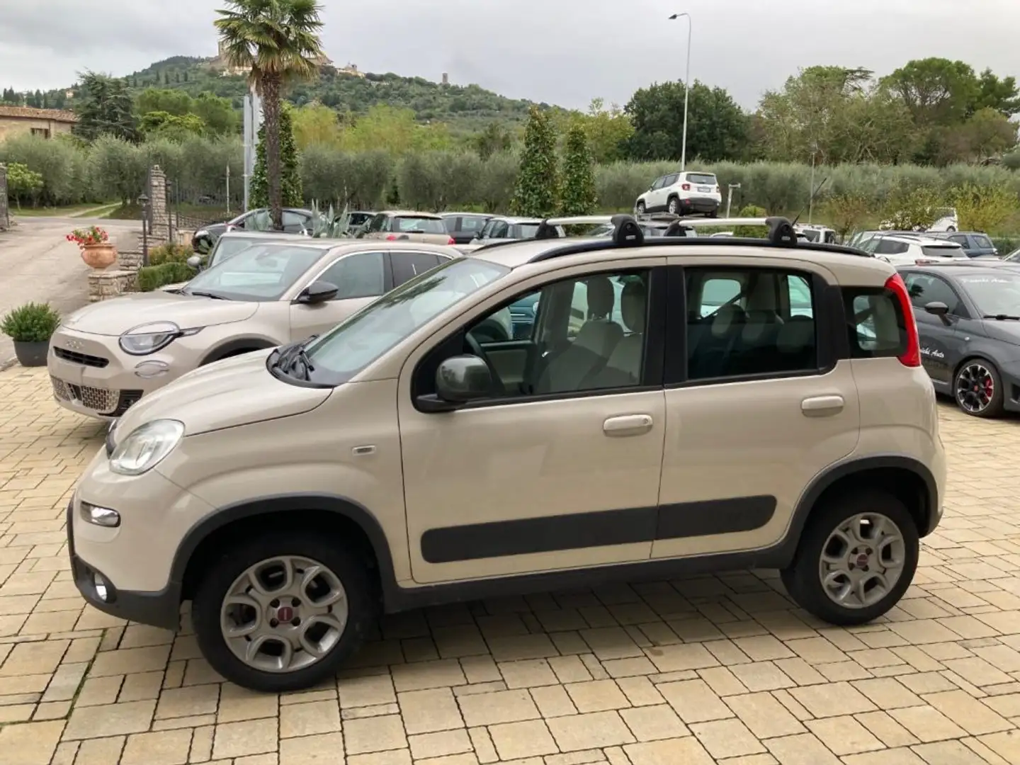 Fiat Panda 1.3 MJT S&S 4x4 Trekking Beige - 1