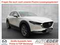 Mazda CX-30 e-Skyactive G140 Exclusive-Line Aut. Weiß - thumbnail 1