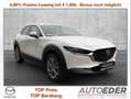 Mazda CX-30 e-Skyactive G140 Exclusive-Line Aut. Weiß - thumbnail 1