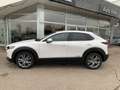 Mazda CX-30 e-Skyactive G140 Exclusive-Line Aut. Weiß - thumbnail 11