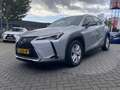 Lexus UX 250h Comfort Line KEYLESS CARPLAY NAVI ADAPTIVE CRUISE Grau - thumbnail 7