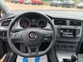 Volkswagen Golf VII Variant Trendline BMT Grau - thumbnail 19