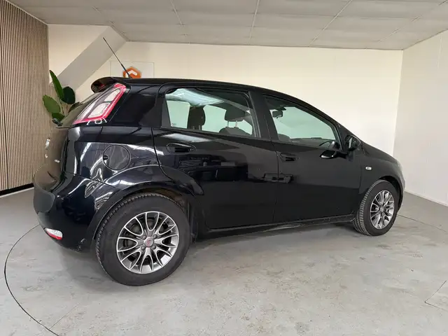 Fiat Punto Evo view 7