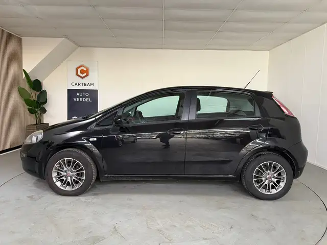 Fiat Punto Evo view 5
